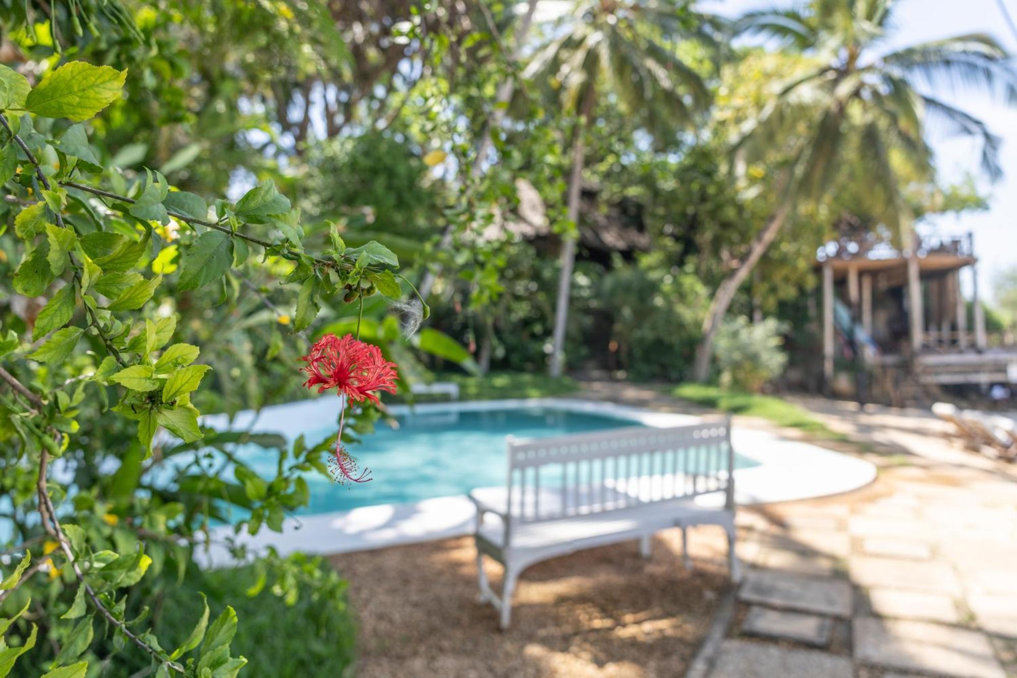 Mbweni Ruins & Gardens Previously Jungle Paradise Zanzibar Exterior photo