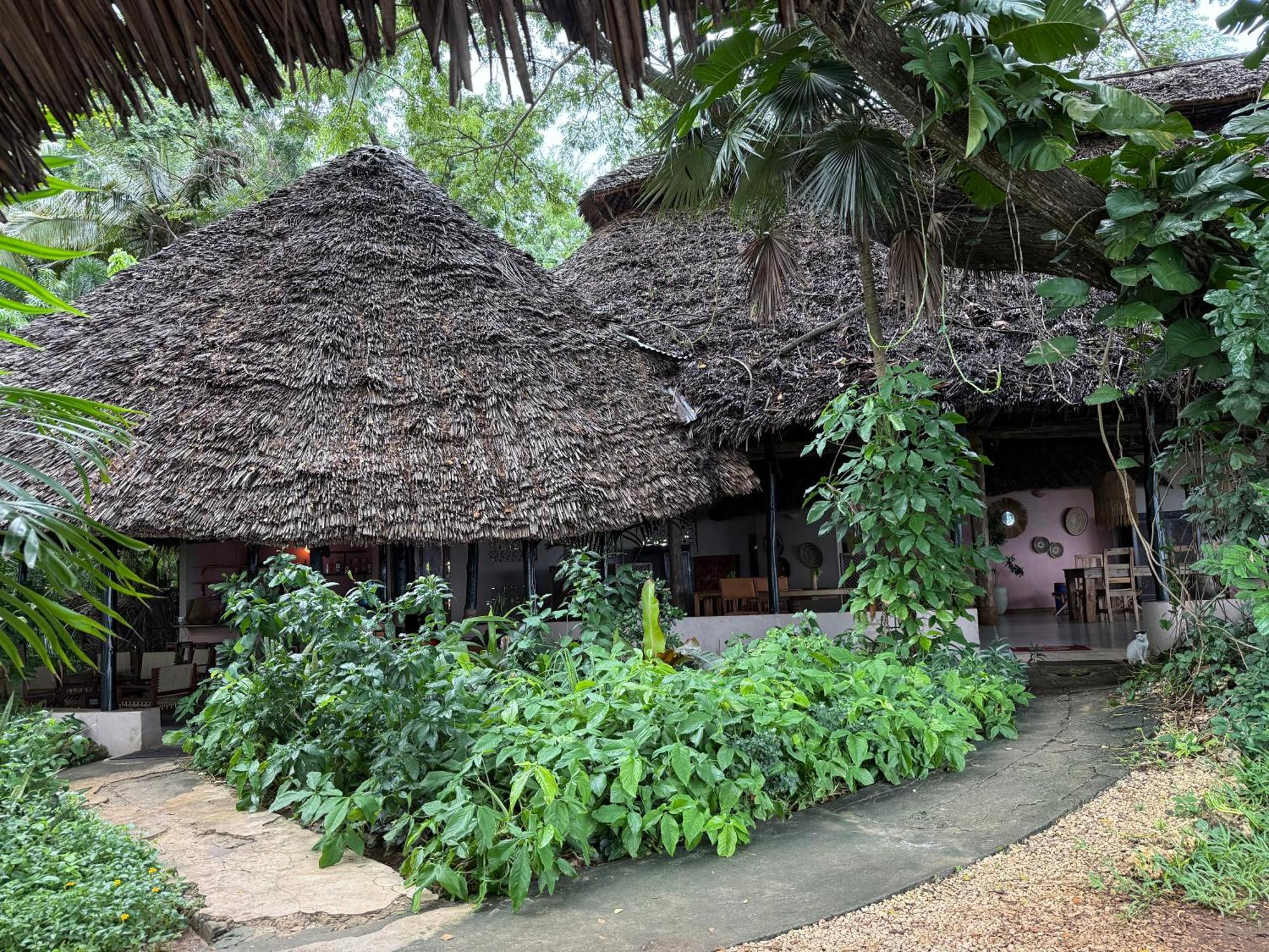 Mbweni Ruins & Gardens Previously Jungle Paradise Zanzibar Exterior photo